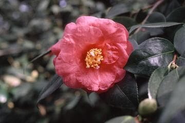 Go to image 2.