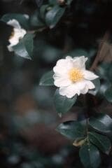 Go to image 4.