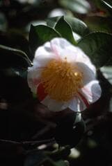 Go to image 6.