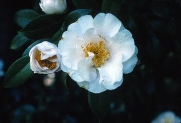 Go to image 2.
