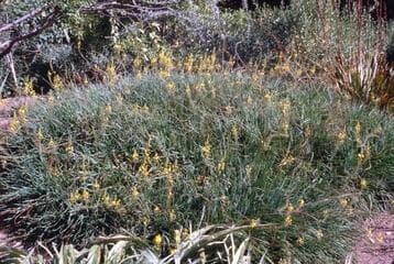 Go to image 12.