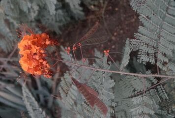Go to image 16.