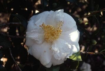 Go to image 3.