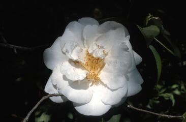 Go to image 3.
