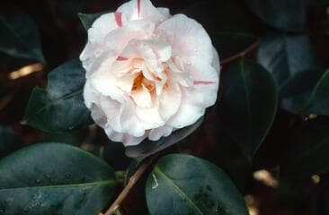 Go to image 2.