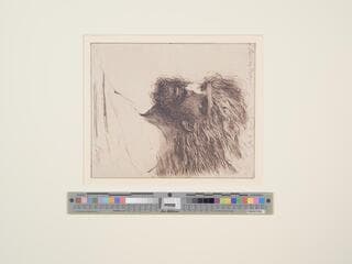 Go to image 1.
