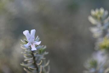Go to image 2.