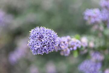 Go to image 12.