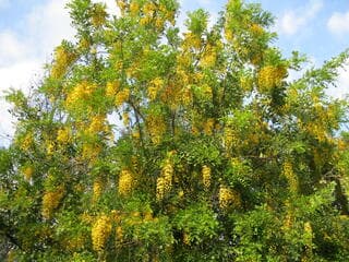 Go to image 13.