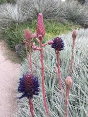 Go to image 21.