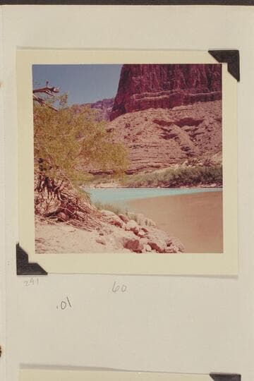 [Little Colorado]