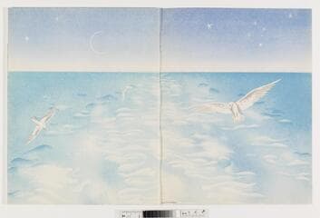 Go to image 28.