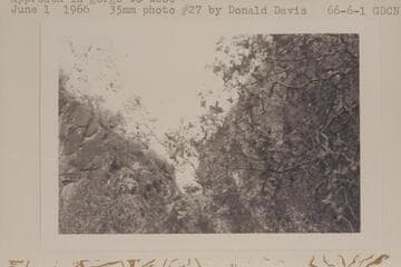 Redwall cliff of Osiris-Shiva Saddle from closest practical approach in gorge to west