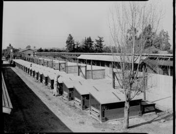 Brown Poultry Ranch
